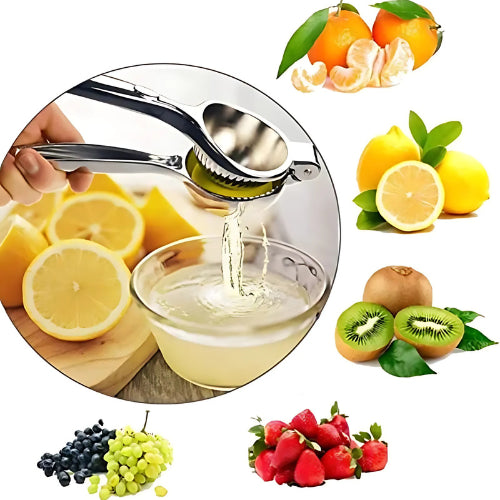 Presse-agrumes manuel en acier inoxydable | Extraction facile, solide et durable - Verdyo_
"Presse-agrumes manuel en acier inoxydable"
"Extraction facile de jus d’agrumes"
"Accessoires cuisine durables"
"Produits écoresponsables pour jus frais"
"Presse-agrumes solide et durable"
"Ustensiles de cuisine en acier inoxydable"
"Cadeau idéal pour amateurs de jus frais"
"Presse-agrumes compact et élégant"
"Outils de cuisine polyvalents"
"Alternative écologique aux extracteurs électriques"